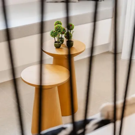 Elvirtus Appartement