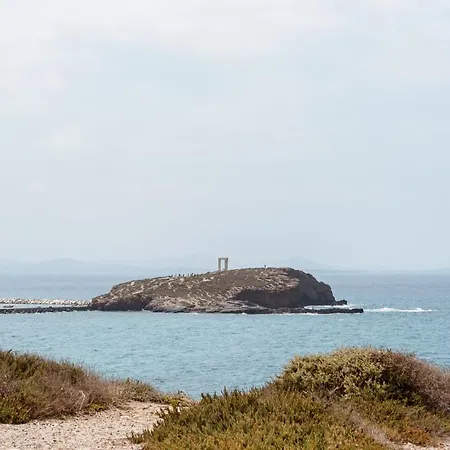 아파트 Elvirtus Naxos City