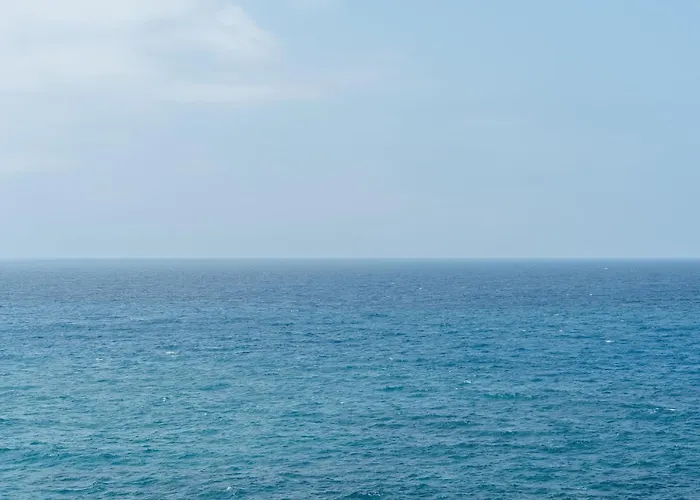 Apartament Elvirtus *