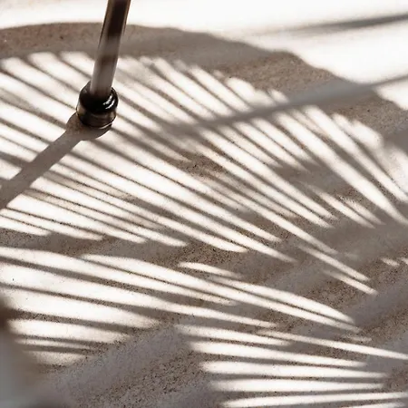 Elvirtus Διαμέρισμα *