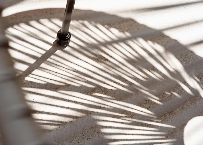 Elvirtus Апартаменты *